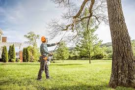Best Lawn Mowing  in East Wenatchee, WA